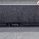 하남약품 이미지