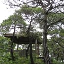 칠갑산자연휴양림 이미지