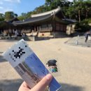 다례 | 창경궁 중양절 체험 후기(다례체험, 국화 향낭 만들기)