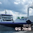 하우목동항 | 제주 우도 가는법, 우도도항선 탑승 하우목동항 도착 후기