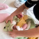 크린토피아 안양호계지사 | [안양산후도우미] 도담도담 산후도우미 찐후기