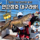 이글스호 | 공현진항 안슨장호 출조 왕대구 잡으러 가자!
