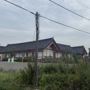 동의한의원 | 경주 대추밭백한의원 임신 준비 진료 후기 : 예약 팁부터 부작용 경험까지 솔직하게