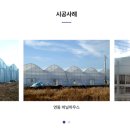 비전이십일
