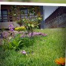 까망모래 이미지