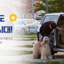 말순이네 이미지