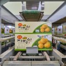 김제상회 이미지