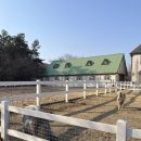 어사농장 | 화성 아이랑 동물체험 카페 아트스페이스｜입장료 생기고 가성비는? 솔직후기