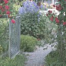 어림경로당 이미지