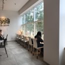 두성스포렉스 이미지