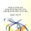 양광모 책 &#39;비상&#39; 글 모음 이미지