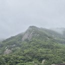 내변산의 숨은비경 [26 06 20 전북 부안 벼락폭포 (189)] 이미지