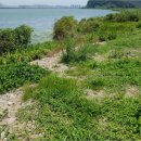 부산환경덤프 이미지