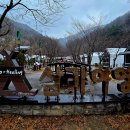 소백산삼가야영장 이미지