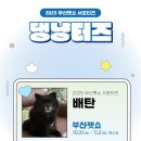 부산펫(주) 이미지