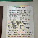 올삼 티스토리