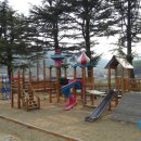 무을초등학교 Daum카페