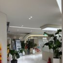 엄피부과의원 이미지