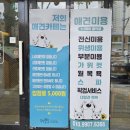 멍뭉몽 이미지