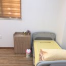 중앙로 느티나무길 이미지