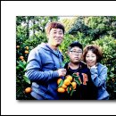 정환농장 이미지