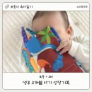 매탄2동 111-91~매탄2동 111-114 | [토동+3M] 91일~120일 생후 3개월 아기 성장 기록 (셀프 백일상 / 뒤집기 시도 / 아기 첫 명절)