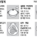 건강생활 - '바캉스 배탈'… 식중독·장염 이미지