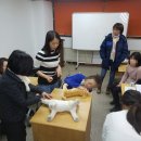 펫 매니저 이미지