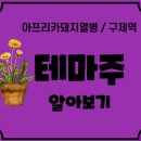 우성자원주 이미지