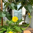 SG행정사 사무소 이미지