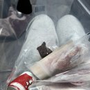 나도먹개 이미지