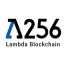 256 이데일리