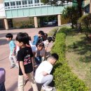청곡초등학교(병설) 이미지