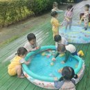🥭망고반 8월 1주 목요일_물총놀이&amp; 물풍선놀이 이미지