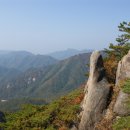 대향산천 Daum카페