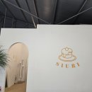 중마애견 이미지