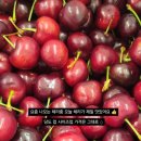 송푸르타 이미지