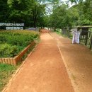 흙내음황토 | 분당 구미동 황토길 맨발 걷기 효능과 직접 체험해본 어싱 명상 후기