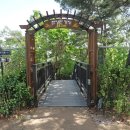 홍릉초교 이미지