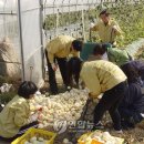 천평2리 이미지