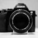 소니코리아(주) 이미지