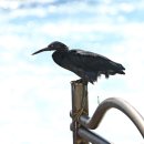 노을해안로 이미지