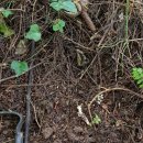 하당로 289번길 이미지