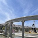 스마트푸드(주)지점 | 벚꽃은 괜찮아. 봄은 에버랜드 튤립축제, 아이랑 봄 하루 종일 즐긴 솔직 후기