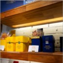 별빛백도 이미지