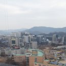 동남스타공인중개사사무소 이미지