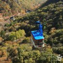 내장산관광안내소 이미지