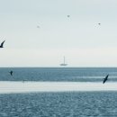 동물병원 감동 이미지