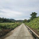 율촌산단로 이미지