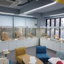 파주고양이미용 반하나캣 이미지